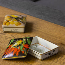 Load image into Gallery viewer, Vista Alegre Amazonia Card Box Sementes