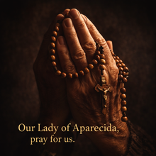 Load image into Gallery viewer, Handcrafted Our Lady of Aparecida Rosary, Natural Wood Beads, Bronze Corpus Crucifix, Catholic Gift