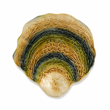 Load image into Gallery viewer, Bordallo Pinheiro Oysters & Scallops Charger Plate