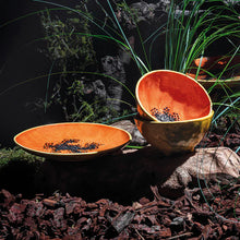 Load image into Gallery viewer, Bordallo Pinheiro Tropical Fruits Papaya Dessert Plate, Set of 4