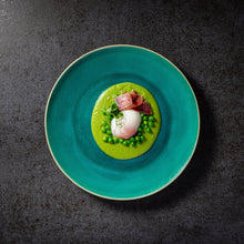 Load image into Gallery viewer, Costa Nova Riviera 11" Azur Dinner Plate Set