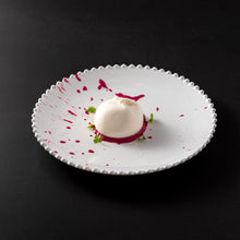 Load image into Gallery viewer, Costa Nova Pearl 11" White Dinner Plate Set