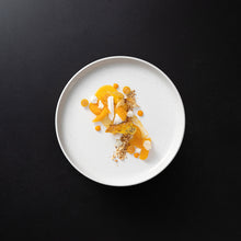 Load image into Gallery viewer, Casafina Pacifica 9" Salt Salad/Dessert Plate Set