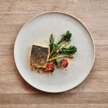 Load image into Gallery viewer, Casa Alegre Sandstorm Dinner Plate, Set of 4