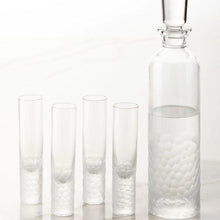 Load image into Gallery viewer, Vista Alegre Crystal Artic Case With Vodka Decanter and 4 Shots
