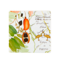 Load image into Gallery viewer, Vista Alegre Amazonia Coasters, Set of 4