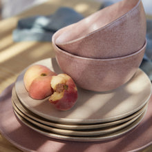 Load image into Gallery viewer, Costa Nova Livia 9" Champagne Salad/Dessert Plate Set