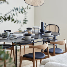 Load image into Gallery viewer, Costa Nova Nótos 12" Latitude Black Round Plate Set