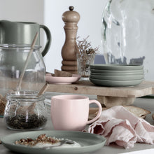 Load image into Gallery viewer, Casafina Pacifica 11 oz. Marshmallow Rose Mug Set