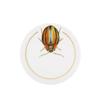 Load image into Gallery viewer, Vista Alegre Insects Coasters, Set of 6
