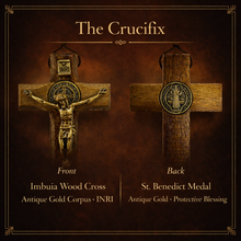 Load image into Gallery viewer, Our Lady of Aparecida Hanging Rosary — 21mm Imbuia Wood Beads, Double-Sided Medal &amp; St. Benedict Crucifix
