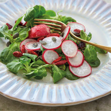 Load image into Gallery viewer, Costa Nova Cristal 11&quot; Nacar Dinner Plate Set
