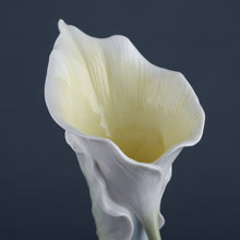 Load image into Gallery viewer, Calla Lily &amp; Ladybug Porcelain Vase – Floral Decorative Vase
