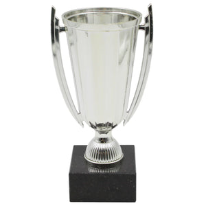 Official FC Porto Replica Trophy with Porto Logo