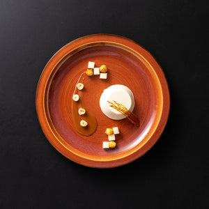 Casafina Poterie 8" Caramel Salad Plates Set