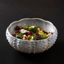 Load image into Gallery viewer, Costa Nova Brisa 7&quot; Ria Blue Large Urchin Bowl Set
