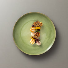 Load image into Gallery viewer, Costa Nova Riviera 9&quot; Vert Frais Salad/Dessert Plate Set
