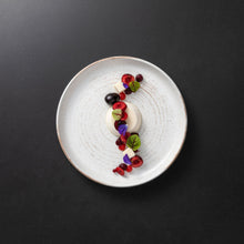 Load image into Gallery viewer, Casafina Vermont 9&quot; Cream Salad Plate Set
