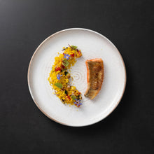 Load image into Gallery viewer, Casafina Vermont 11&quot; Cream Dinner Plate Set
