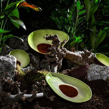Load image into Gallery viewer, Bordallo Pinheiro Tropical Fruits Avocado Dessert Plate, Set of 4
