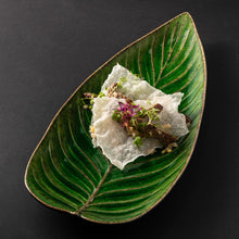 Load image into Gallery viewer, Costa Nova Riviera 16&quot; Tomate Strelizia Leaf
