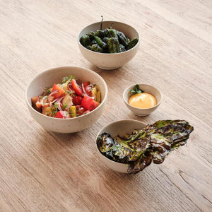 Casa Alegre Sandstorm 6.75" Bowl, Set of 4