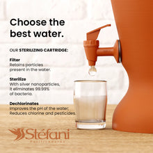 Load image into Gallery viewer, Stefani Sterilizing Ceramic Water Filter Cartridge Set – Triple Action Filtration with Activated Carbon &amp; Silver (3 Pack)
