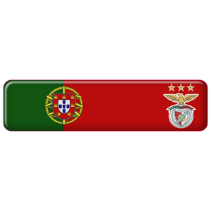 Portugal Rectangular Flag Domed Stickers – SL Benfica Design, Set of 3