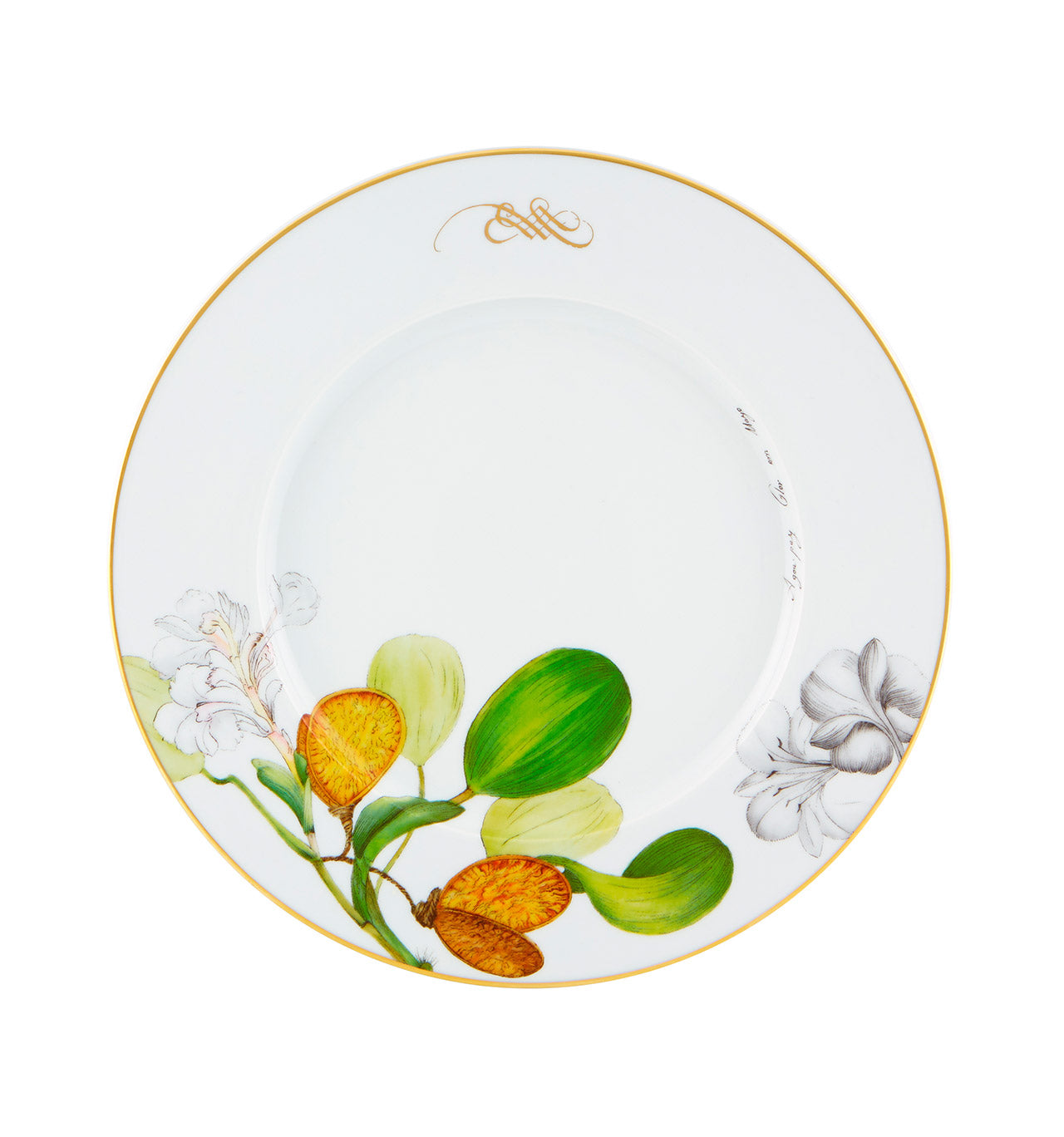 Vista Alegre Amazonia Dinner Plates, Set of 4 – Portugalia Sales Inc