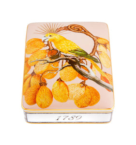 Vista Alegre Amazonia Card Box Lighter