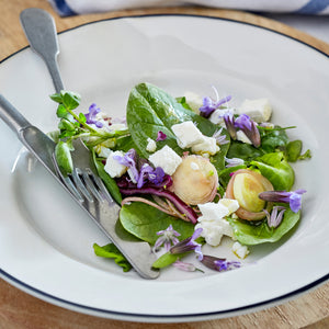 Costa Nova Beja 9" White Blue Salad/Dessert Plate Set