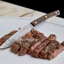 Load image into Gallery viewer, Costa Nova Steak Knives, Set of 4
