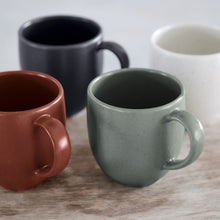 Load image into Gallery viewer, Casafina Pacifica 11 oz. Cayenne Mug Set
