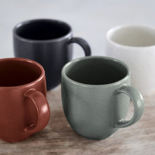 Load image into Gallery viewer, Casafina Pacifica 11 oz. Seed Grey Mug Set
